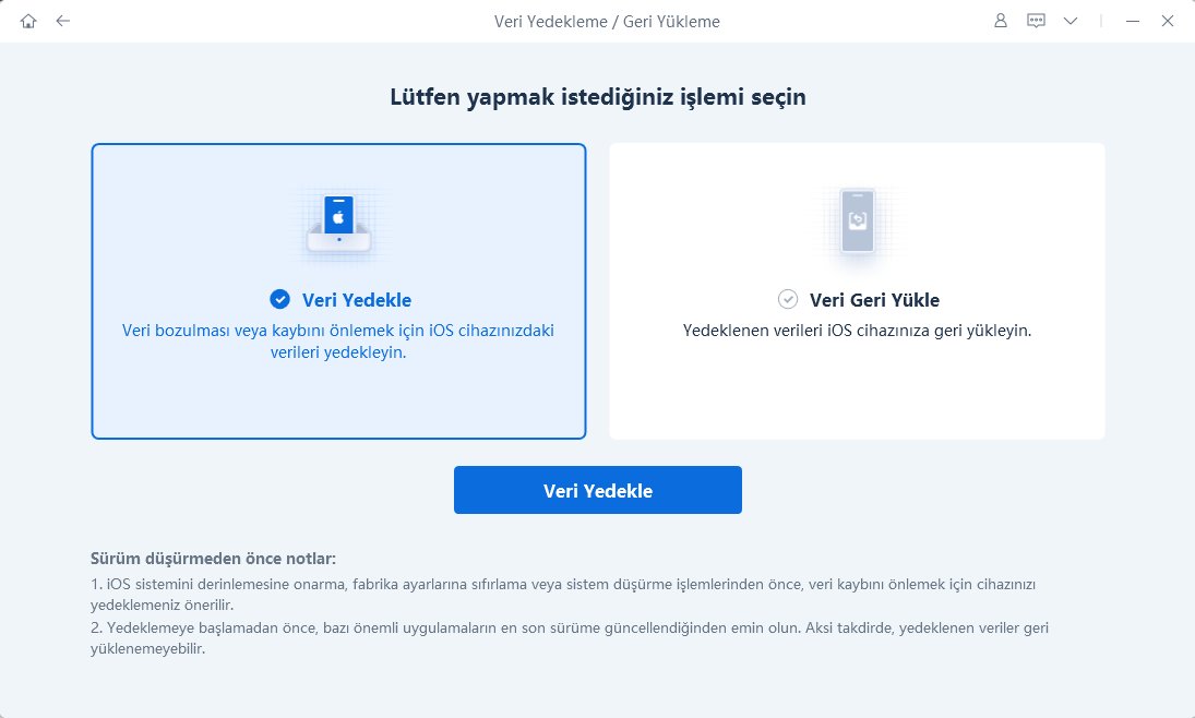 veri yedeklemeyi seçin