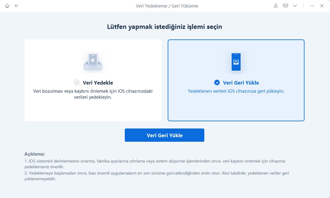 veri geri yükeleme