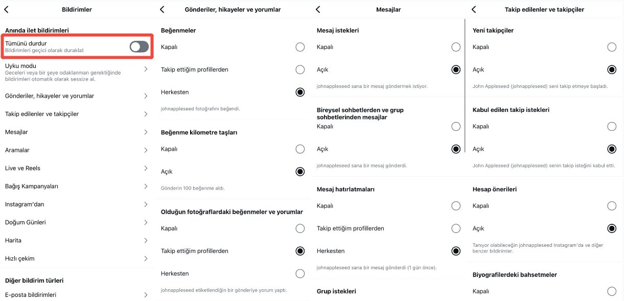 Instagram Uygulama İçi Bildirim Ayarlarını Kontrol Edin