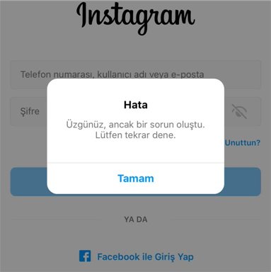 instagram üzgünüz isteğinizle ilgili bir sorun oluştu