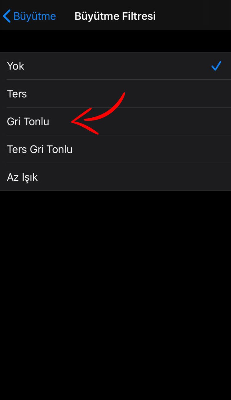erişilebilirlik ayarlarını kontrol ederek iphone ekran siyah beyaz oldu sorununu düzeltme