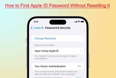 sıfırlamadan unutulan Apple kimliği şifresi nasıl bulunur