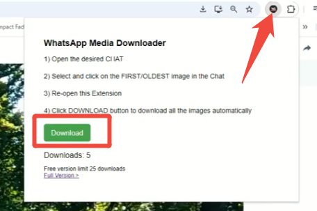 whatsapp video indirici