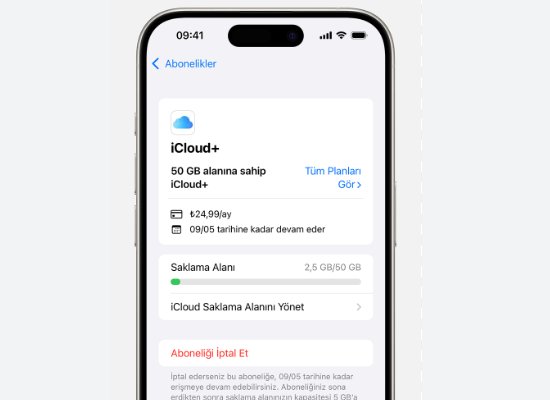 iCloud alanını kontrol edin