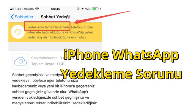 iphone whatsapp yedekleme sorunu