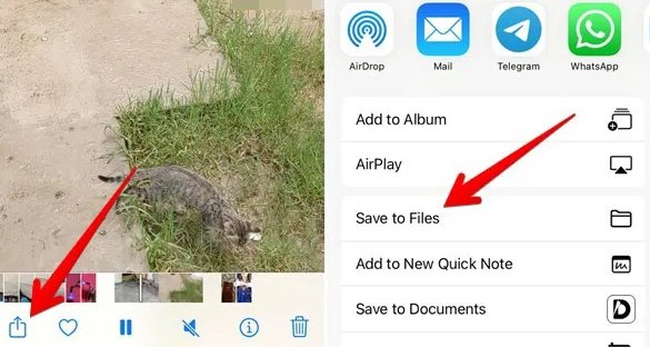whatsapp kalite düşmeden durum paylaşma iphone