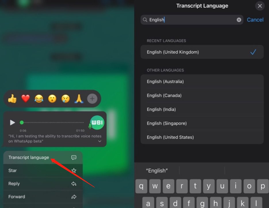 WhatsApp Sesli Mesaj Transkriptleri Özelliği Nasıl Etkinleştirilir