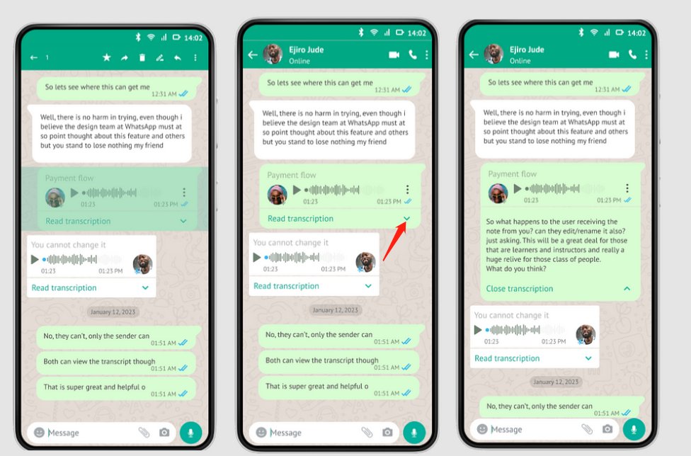 WhatsApp Sesli Mesajlarını Nasıl Görüntüleyebilir