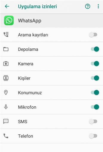 WhatsApp'ta mikrofon ayarları nasıl yapılır