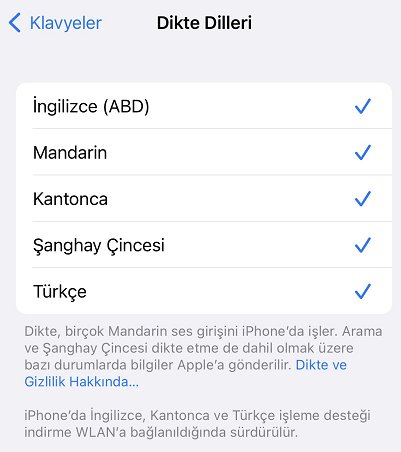 whatsapp sesle yazma çalışmıyor - Dil Ayarlarını Senkronize Edin